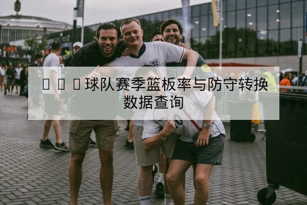 NBA球队赛季篮板率与防守转换数据查询