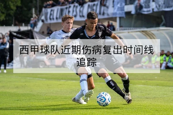 网球ATP赛程奖金与选手退赛影响查询